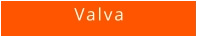 Valva